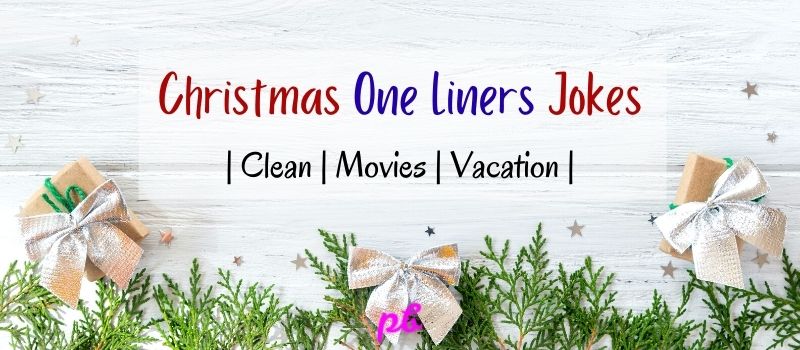100 Funny Christmas One Liners Jokes | Clean | Movies | Vacation 2023 | Best .Puns