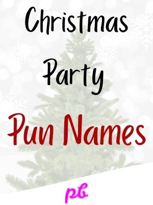Christmas Party Pun Names