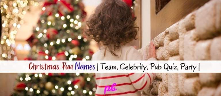 Christmas Pun Names