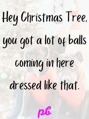 Christmas Tree Jokes One Liners