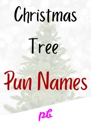 Christmas Tree Pun Names