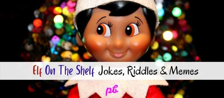 Elf On The Shelf Jokes