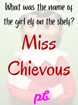 Elf On The Shelf Jokes For Adults