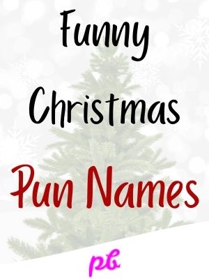Funny Christmas Pun Names