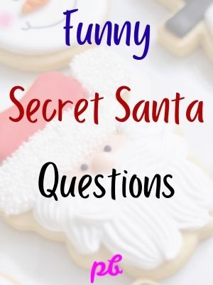 Funny Secret Santa Questions