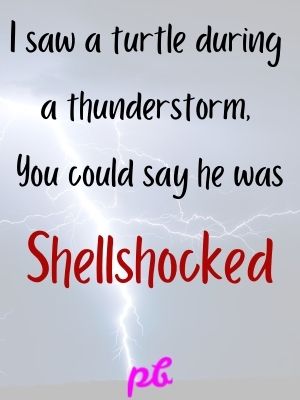 Thunderstorm Jokes