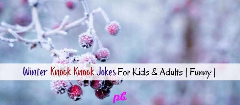 Winter Knock Knock Jokes