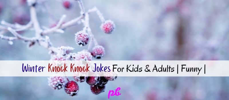 Winter Knock Knock Jokes