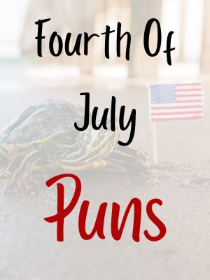 Fourth Of July Puns