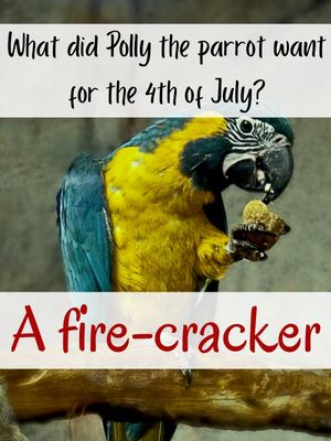 4th of july memes funny