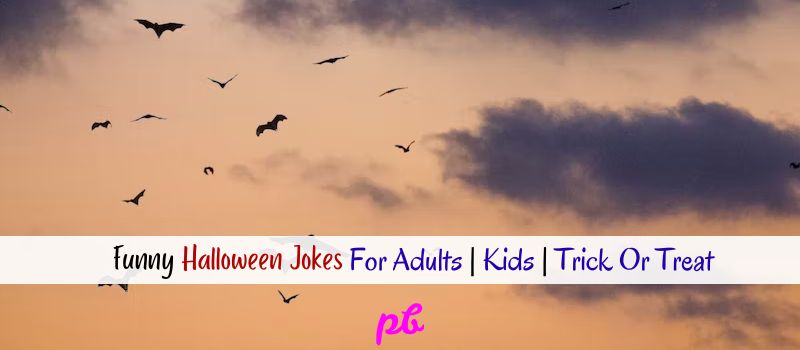 Funny Halloween Jokes