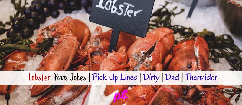 Lobster Puns Jokes
