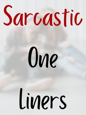 Sarcastic One Liners