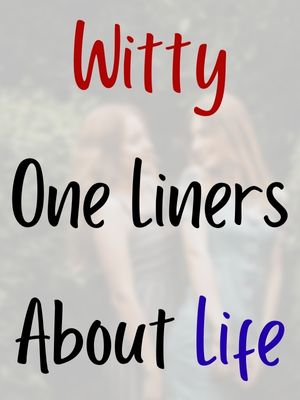 Witty One Liners About Life