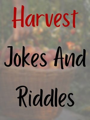 Harvest Jokes And Riddles