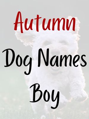 Autumn Dog Names Boy