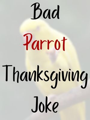Bad Parrot Thanksgiving Joke