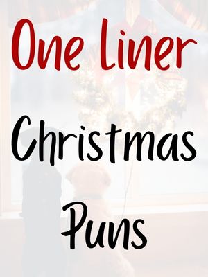 Christmas Puns One Liner