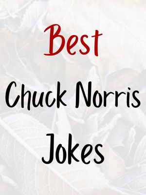 Chuck Norris Jokes Best