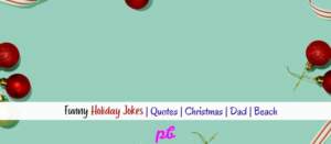 Funny Holiday Jokes