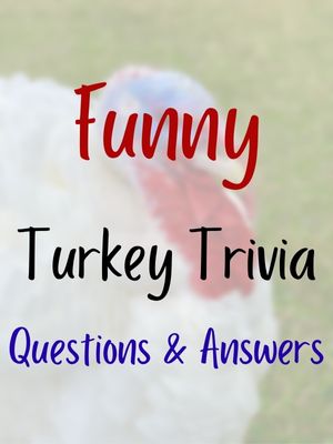 Funny Turkey Trivia Questions And Answers