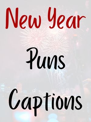 New Year Puns Captions