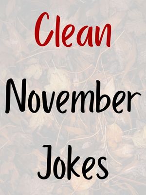 November Jokes Clean