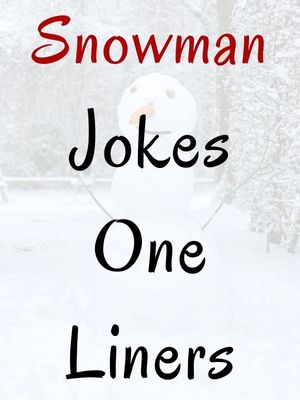 Snowman Jokes One Liners