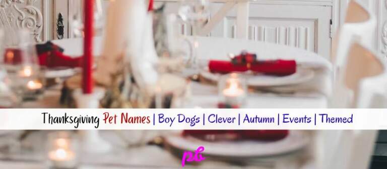 Thanksgiving Pet Names