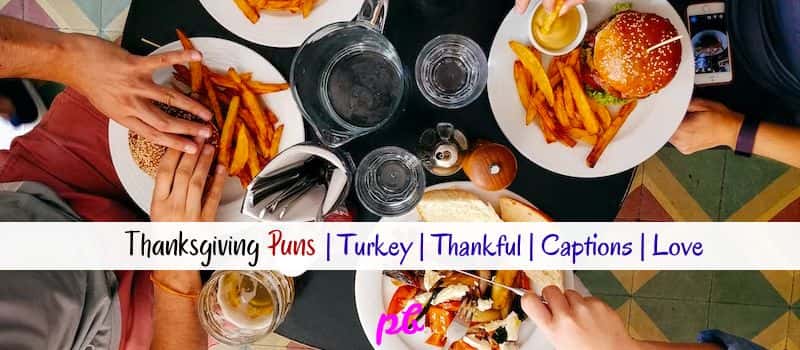 Thanksgiving Puns