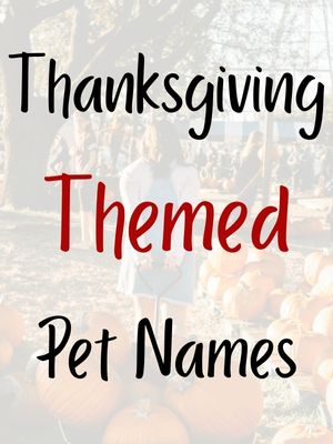Thanksgiving Themed Pet Names