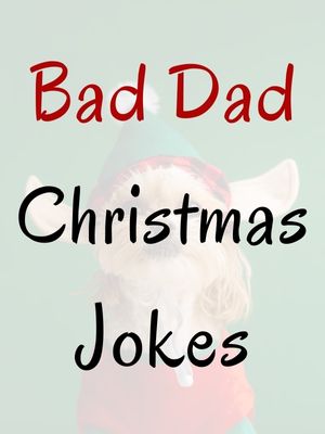 Bad Dad Christmas Jokes