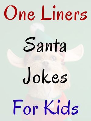 Santa Jokes One Liners