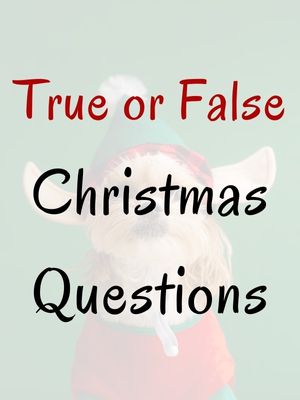 True or False Christmas Questions