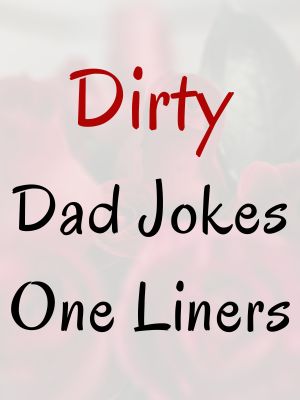 Dirty Dad Jokes One Liners