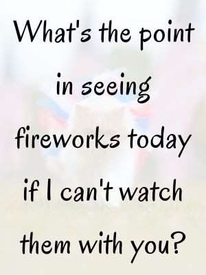 flirty fourth of july quotes