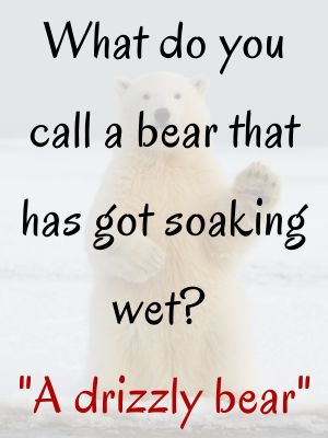 puns about bears