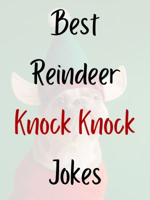 Best Reindeer Knock Knock Jokes