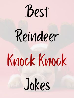 Jokes About Reindeer 