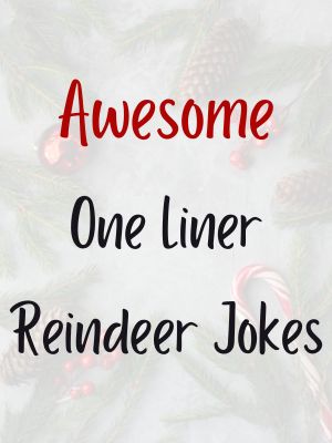 One Liner Reindeer Jokes