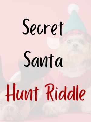 Secret Santa Hunt Riddles