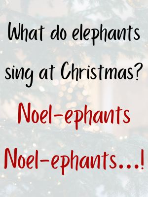 christmas animal jokes